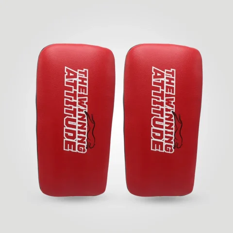 Thai boxing pad