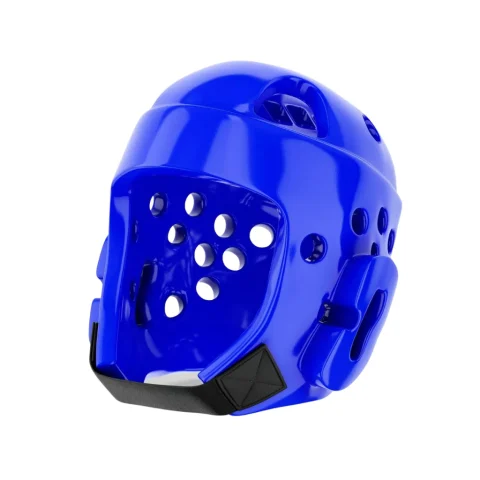 Shield Head Gear