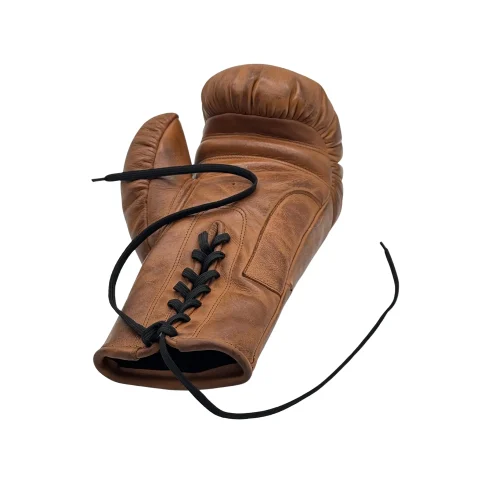 Vintage Boxing Gloves