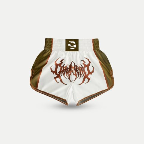 Muay thai shorts Brown