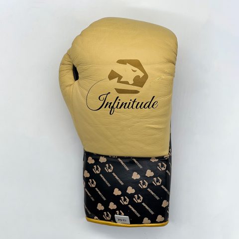 Stealth X2 Gold Boxing Gloves