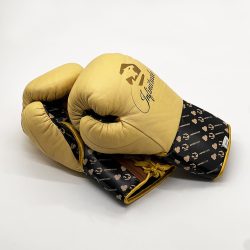 Stealth X2 Gold Boxing Gloves